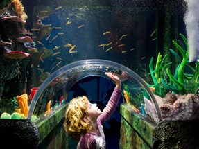 aquarium