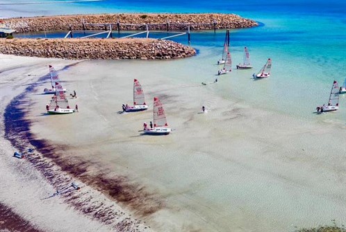 wallaroo1